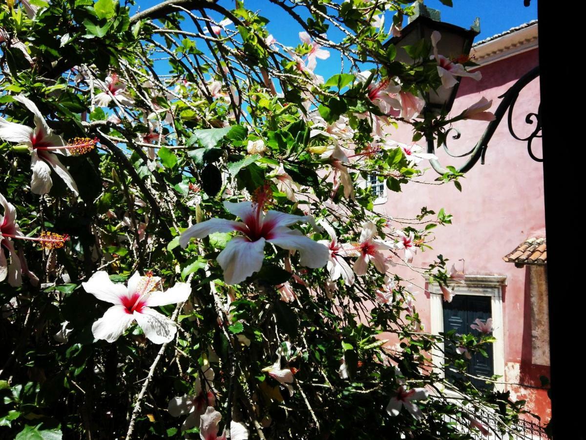Venetian Well Cozy Apartment Corfu Old Town Corfu (city) Exterior foto